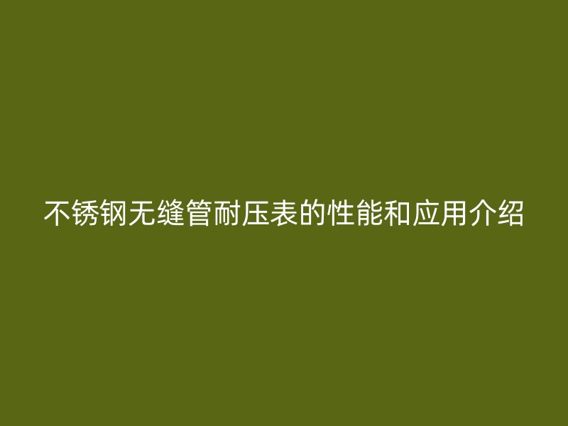 荣耀官方官网入口无缝管耐压表的性能和应用介绍