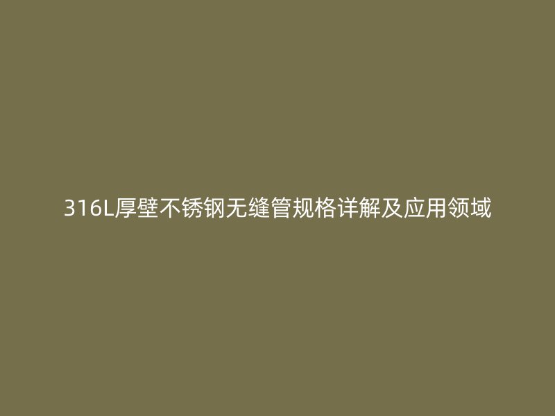 316L厚壁荣耀官方官网入口无缝管规格详解及应用领域