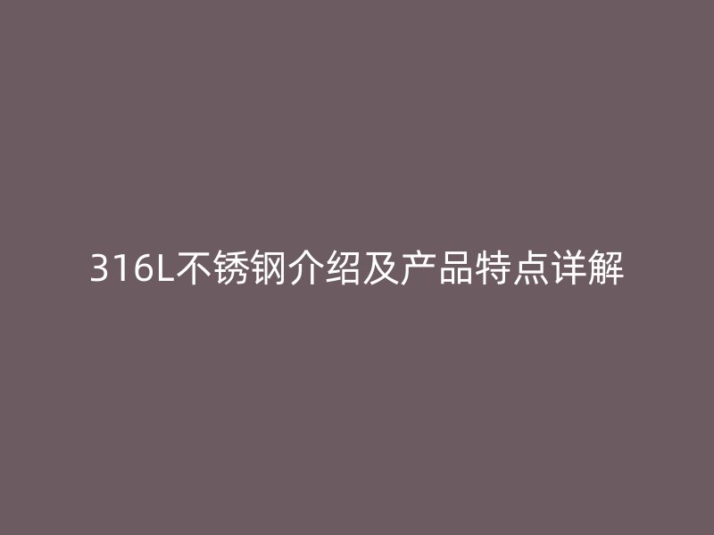 316L荣耀官方官网入口介绍及产品特点详解