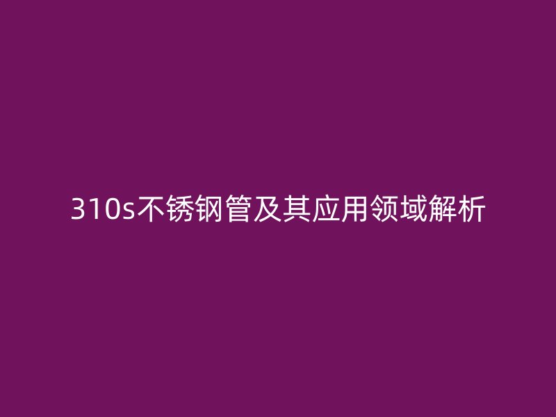 310s荣耀官方官网入口管及其应用领域解析